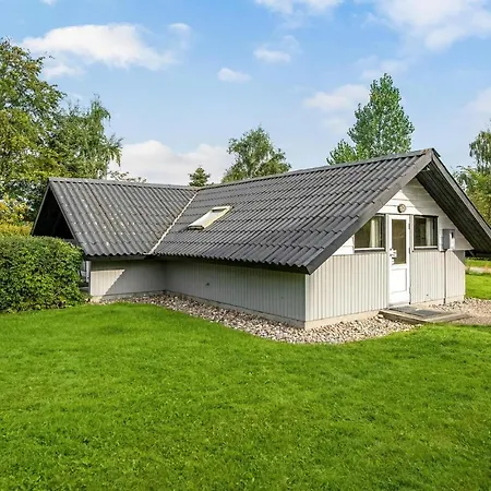 Birkemose X Skovbyballe