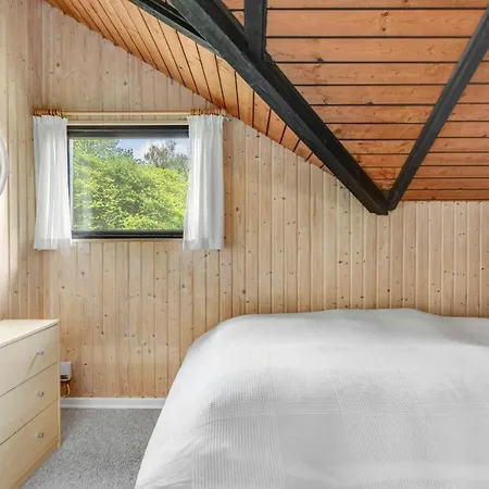 Birkemose X Skovbyballe